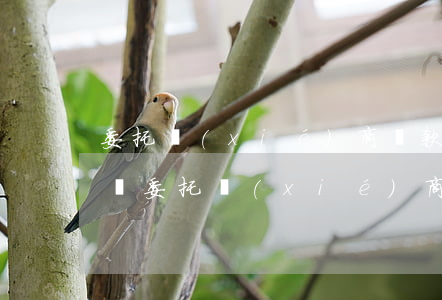 委托協(xié)商還款怎么收錢的，如何通過委托協(xié)商還款收取費(fèi)用？